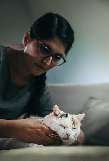 Ostéopathie chat