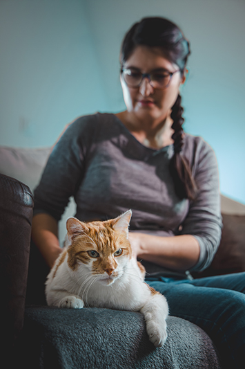 Ostéopathie chat